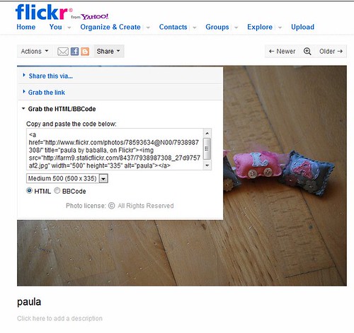 flickr_código_html