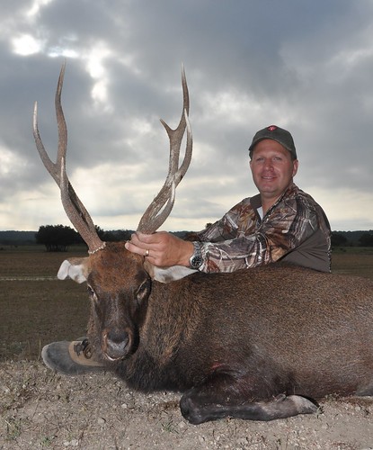 2012 Gold Medal Sika Deer Hunting