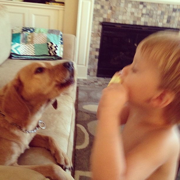Barley loves to sing while Cian plays the harmonica!