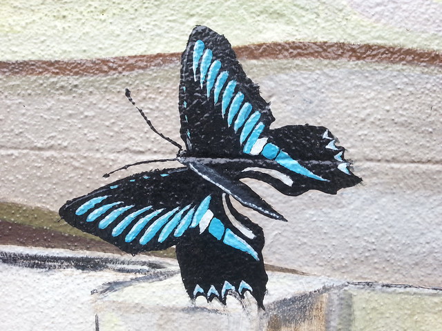 Black/Blue Butterfly street art - Annandale, Leichhardt