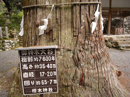 桜木神社と象の小川＠吉野町-05