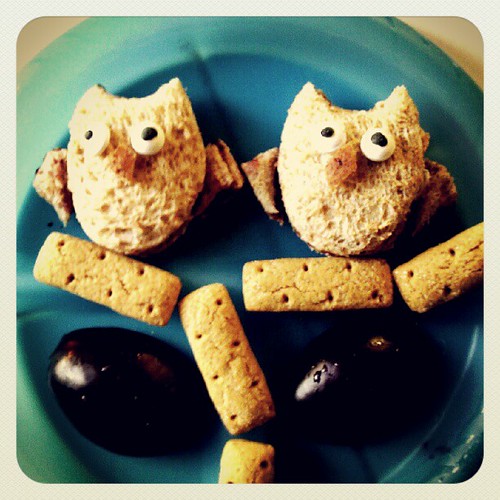 O is for owl lunch.