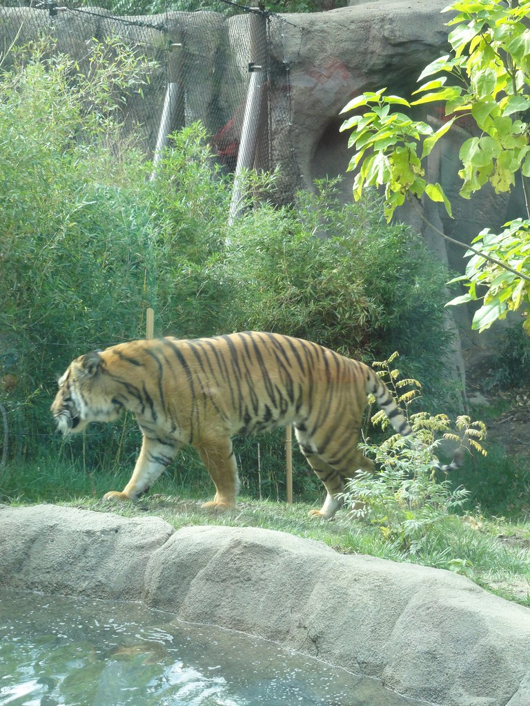 Cincinnati Zoo