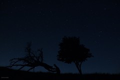 ebeneck (haut-rhin) nuit