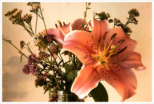 lilies from Judy