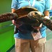 Very friendly turtle!