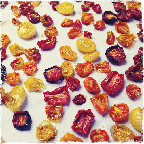 oven-dried cherry tomatoes... by credd