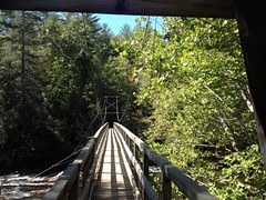  Toccoa Suspension Bridge 