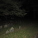 503-092212-Ghosts and Gravestones posted by Brian Whitmarsh to Flickr