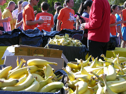 2012 Big Gay Race banana ends