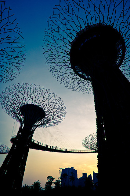 Supertree Silhouettes (Gardens by the Bay, Singapore)