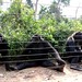 Mefou Primate Sanctuary impressions, Cameroon - IMG_2502_CR2_v1