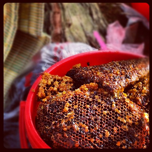 Fresh #honey. #Vietnam #Travelingram