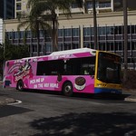Brisbane Transport 1309