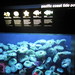 570-092312-New England Aquarium posted by Brian Whitmarsh to Flickr