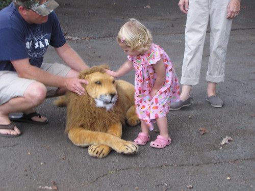 Finally pets the Lion