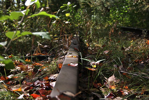 Camouflaged rail