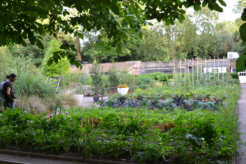 battersea herb garden