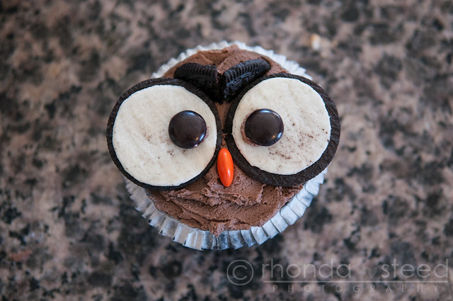 Owl cupcake