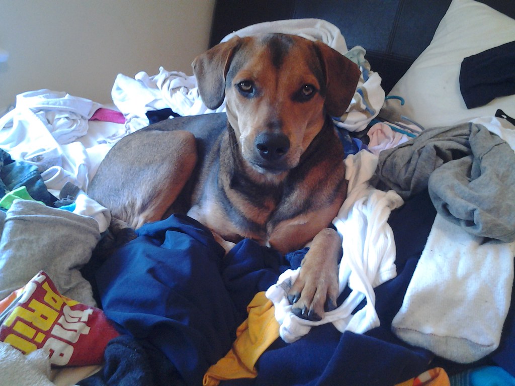 you look like you needed help with the laundry
