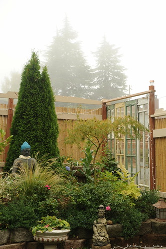 Mists drift into a garden for the Buddha, fall coming in, Seattle, Washington, USA by Wonderlane