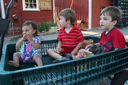 Three kids in a wagon 15