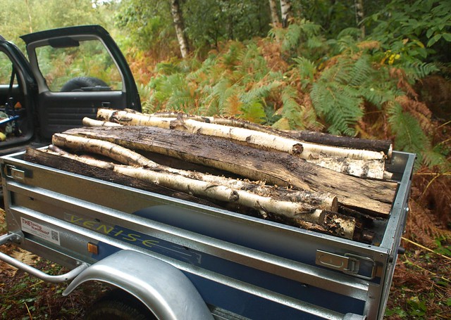 DSC_4533 Trailer load of logs