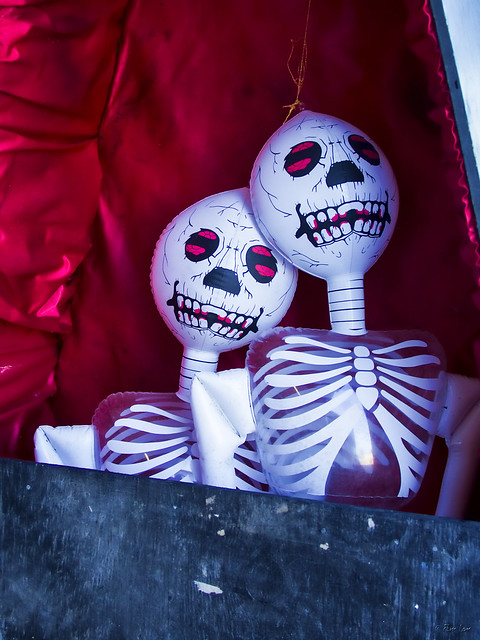 Halloween skeletons in a coffin