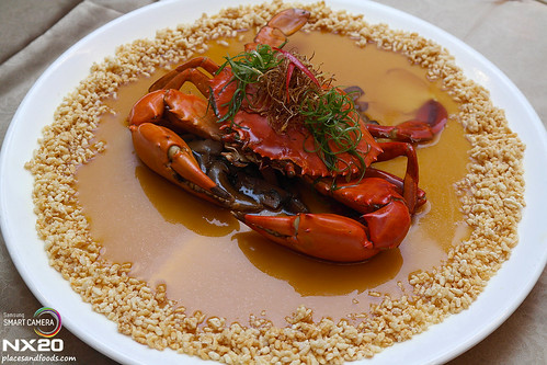 tai thong steamed crab with bean curd whole