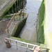 River stairs at Warspite Road, Woolwich