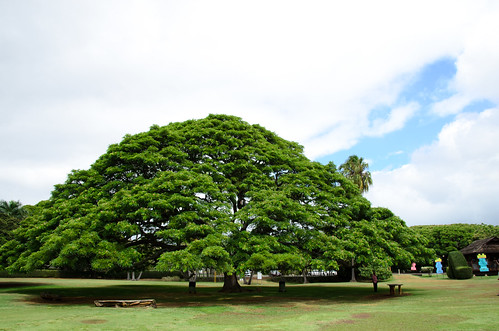 Moanalua Gardens