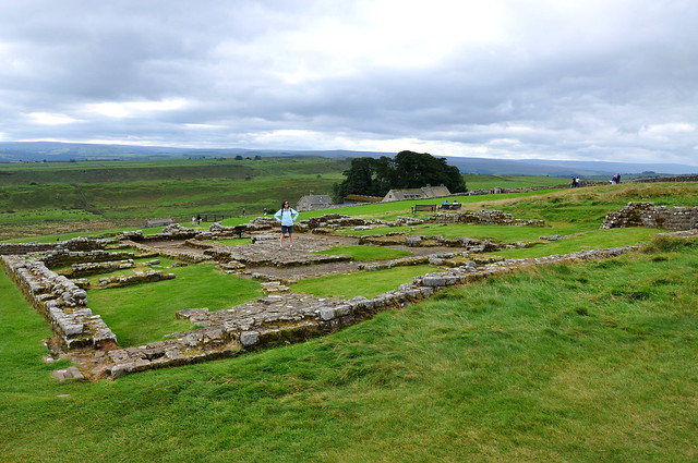The hospital at Housesteads Roman Fort