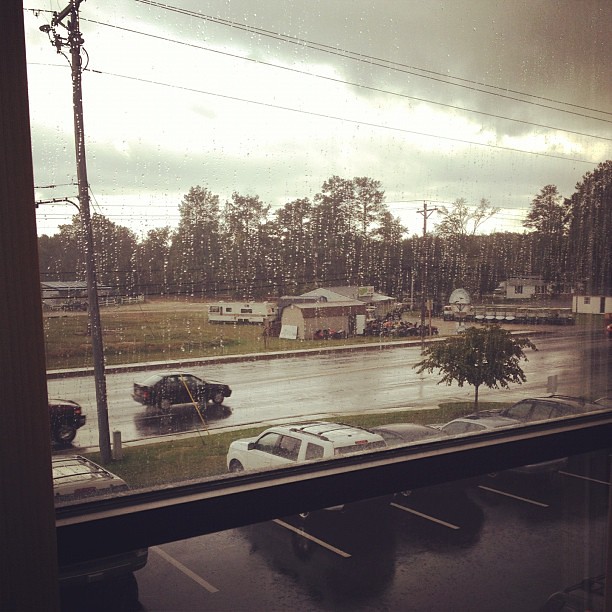 Thoroughly enjoying watching the steady rain from outside my office window.