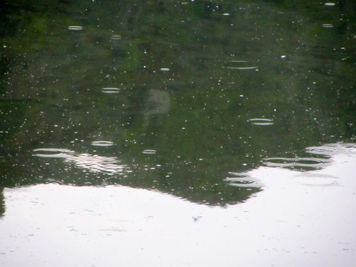 rain on the lake