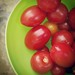 Cherries! ~ #garden #tomato #green #red