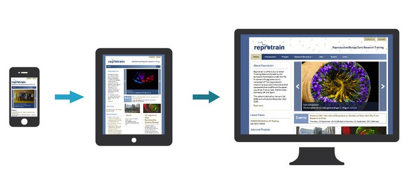 Reprotrain responsive, mobile-first design, http://reprotrain.eu