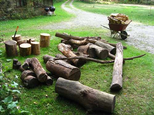 Hauled wood and chopped wood