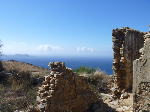 Occi, Corsica