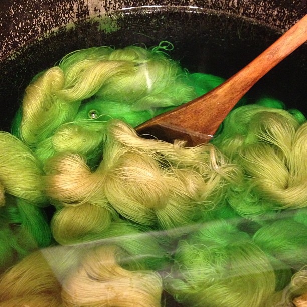 Tonight's dyepot brought to you by the color Leaf. #nofilter