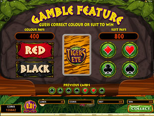 Tiger's Eye Gamble Feature