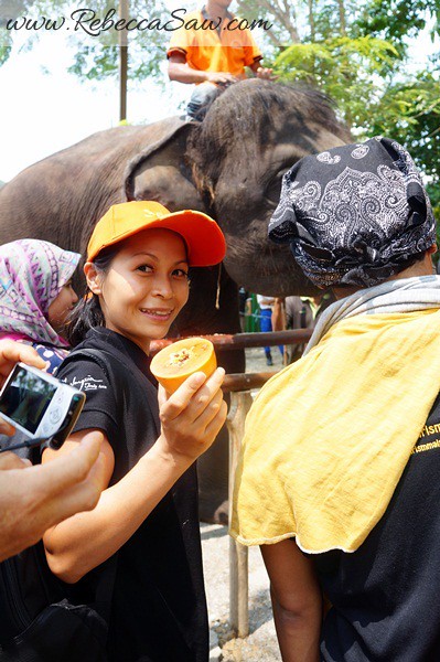 Malaysia Tourism Hunt 2012 - National Elephant Conservation Centre