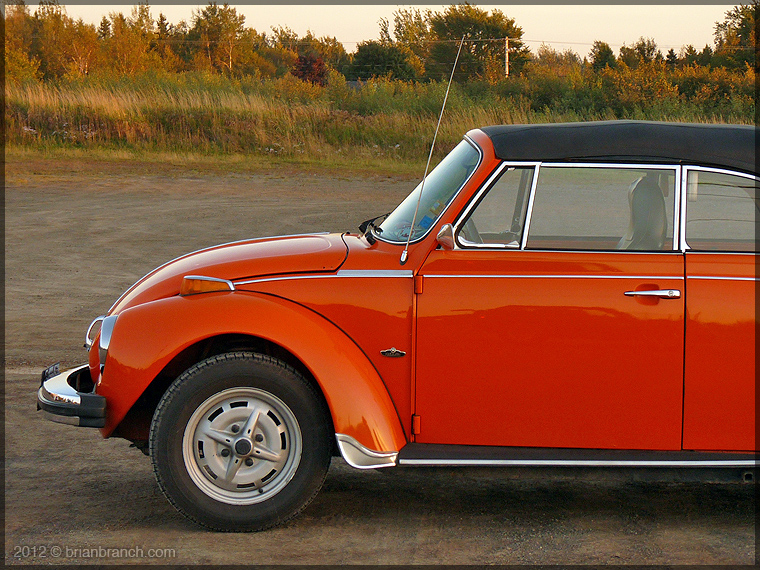 P1280369_VW_beetle
