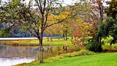Pennsyvania Fall Foliage 2012