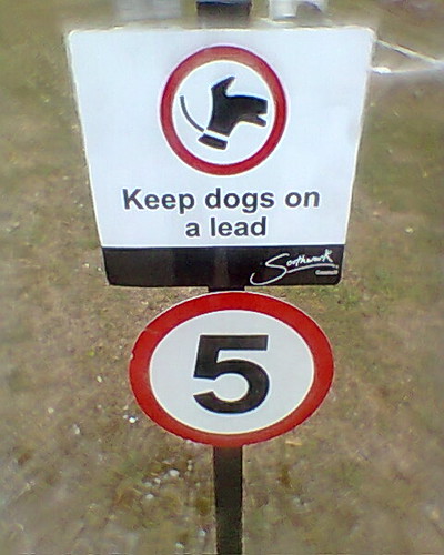 no dogs over 5mph