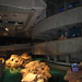 517-092312-New England Aquarium posted by Brian Whitmarsh to Flickr