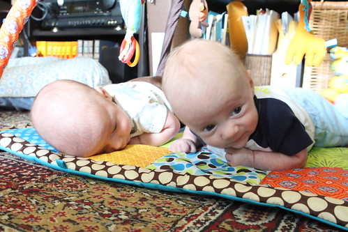 The Wombats at Tummy Time