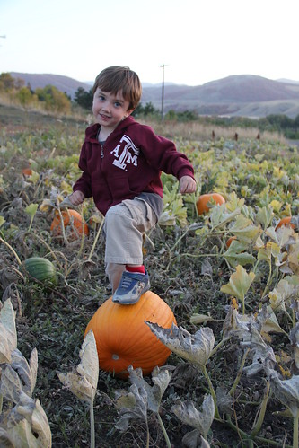 He conquered the pumpkin