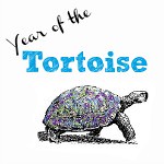 Year of the Tortoise