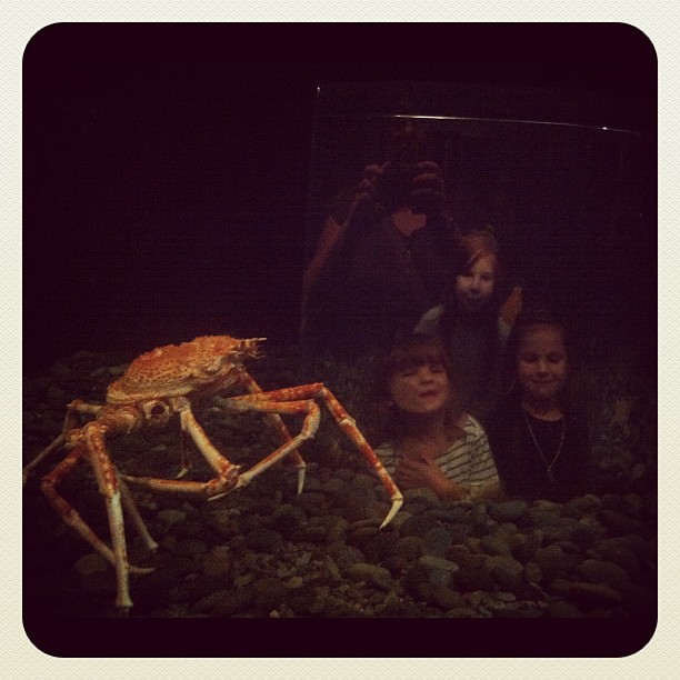 Large crab. Tiny children.