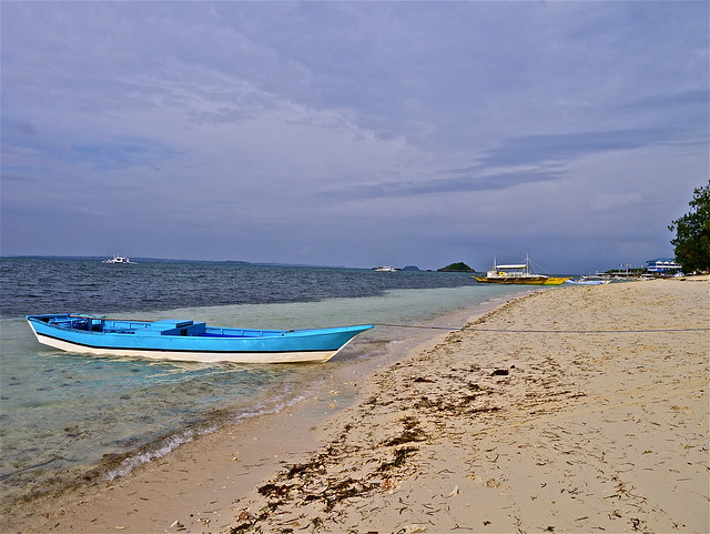 Una isla que te robará el corazón: MALAPASCUA - ¡FILIPINAS, TIERRA DE GALLOS! (18)